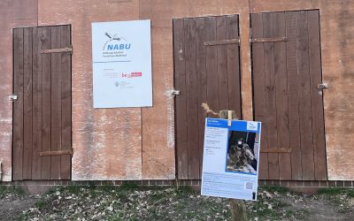 Besuch der NABU Wildvogelstation zum Tag der Unterstützer*innen