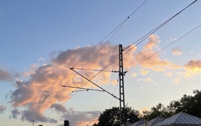 Einladung zum Wildtierspaziergang mit Derk Ehlert am 11. Juni ab 17 Uhr