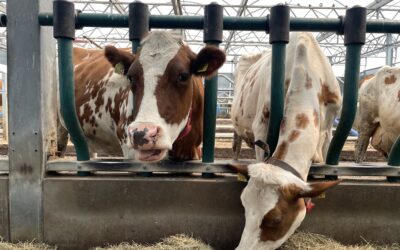 Reise mit dem Ausschuss für Umwelt- und Klimaschutz nach Rotterdam