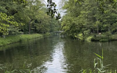 Einladung zum Spaziergang mit einer Stadtnatur-Rangerin am 29. Oktober 2025 um 16 Uhr im Jungfernheidepark
